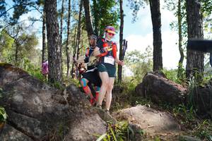 BIB: 
                            <button type="button" onclick="openModal(18916818)" class="btn btn-primary btn-sm float-right btn-popup" data-toggle="modal" data-target=".modal-high-quality">
                        <i class="fas fa-shopping-cart"></i> Add to Cart
                    </button>
                                            <button type="button" onclick="isThisMe(18916818, true)" class="btn btn-success btn-sm float-right btn-popup btn-isme hidden" data-toggle="tooltip" data-placement="bottom" title="นี่คือรูปของคุณใช่ไหม คลิกที่นี่เพื่อเอาเข้าอัลบั้ม">
                        <i class="fas fa-plus"></i> Add to album
                    </button>
                    <button type="button" onclick="isThisMe(18916818, false)" class="btn btn-warning btn-sm float-right btn-popup btn-isnotme hidden">
                        <i class="fas fa-ban"></i> Remove from album
                    </button>